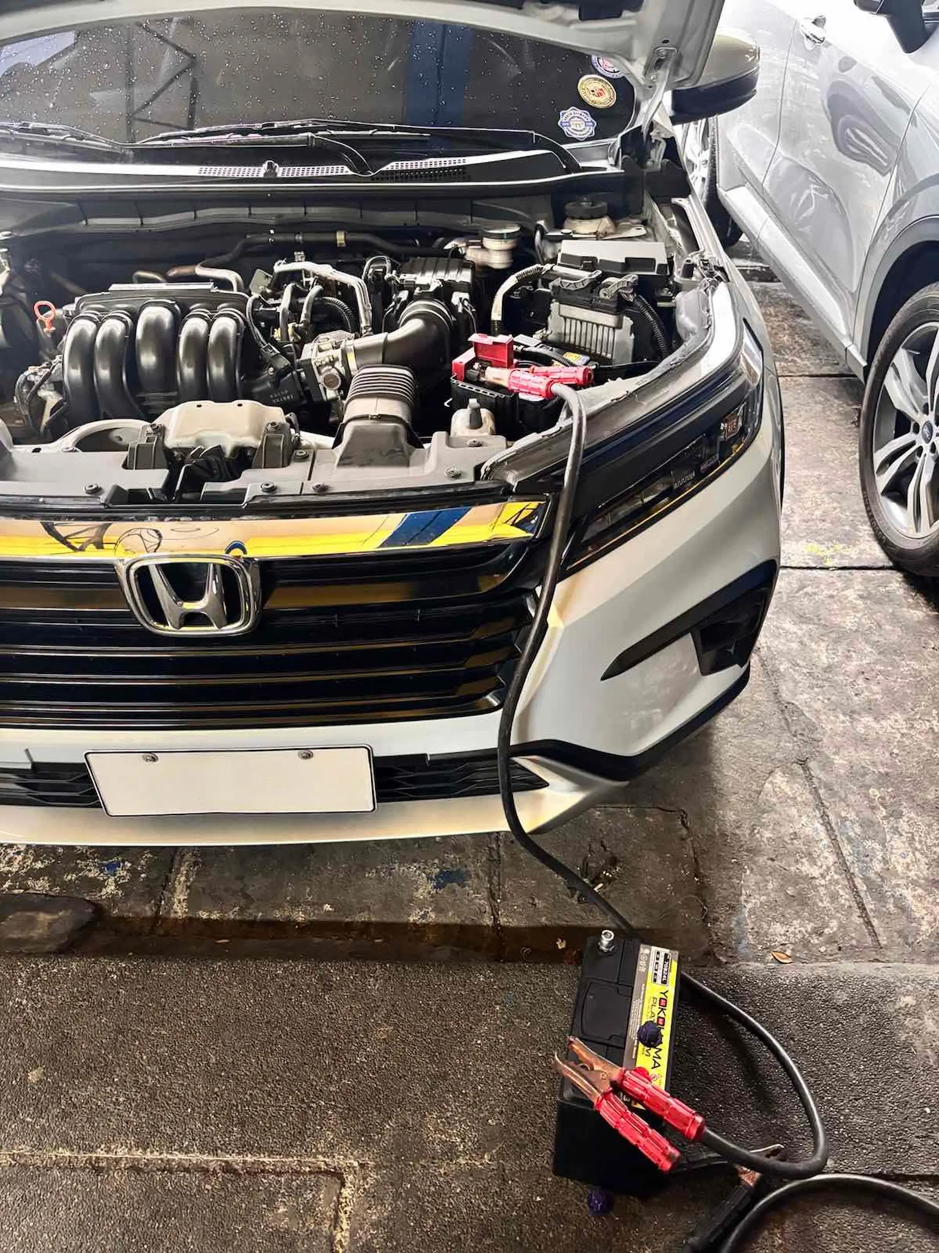 876bf891877b79ca36b84cace153ef8b